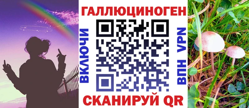 Псилоцибиновые грибы Cubensis Унеча