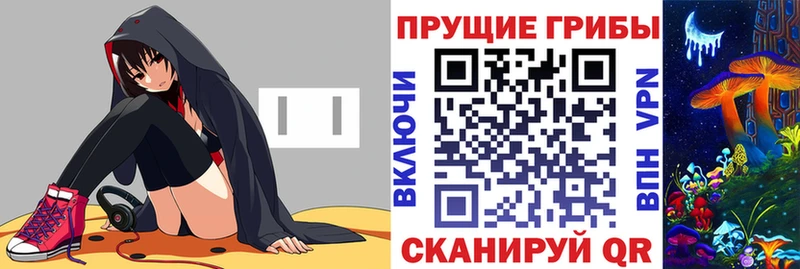 купить наркотики цена  Унеча  Галлюциногенные грибы Psilocybe 