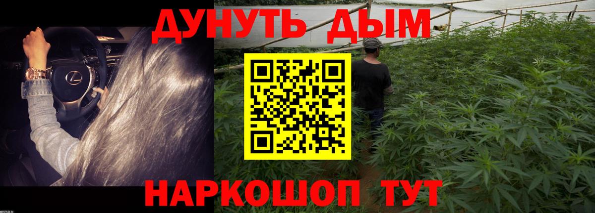 Канабис Bruce Banner Унеча